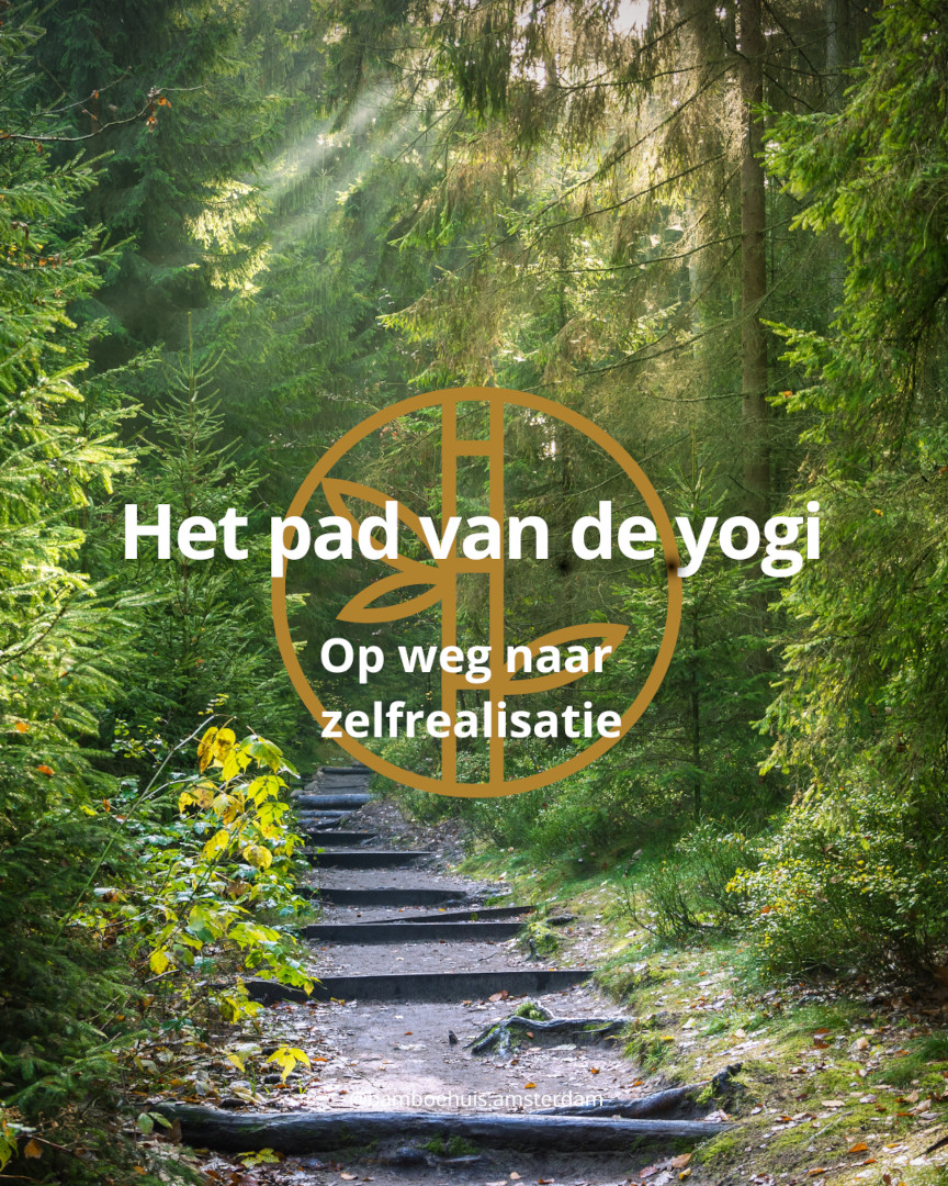 Pad van de yogi
